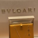 드림목욕탕 | 불가리 디바스 드림 목걸이 구매 후기(압구정 갤러리아, 비제로원 미니와 비교)