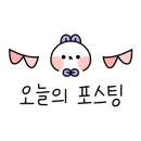 트래블 서치 이미지