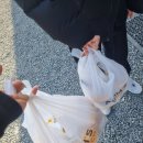 이겨울이 다가기전에! 꿀팁과 정보 가득한 포스팅 [웰리힐리파크 이용팁과 후기] + 식사 해결팁