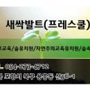새싹발트유치원 이미지