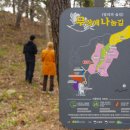 밀러의숲길 네이버블로그