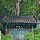 평안한치길 이미지