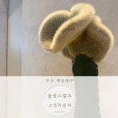 스킨N스칼프 | 부산웨딩관리 마린시티에스테틱 부산승모근관리 부산올댓스칼프앤스킨라운지