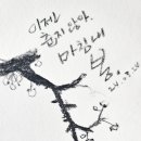 비로소 봄 이미지