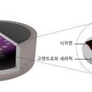 연세라믹 이미지