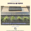 아트호스텔 | 치앙마이 숙소 추천 프리미어 호스텔 후기