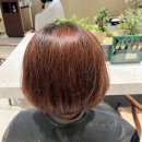 도연헤어 - 고양시 일산동구 | 도연헤어
