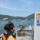 엘파로펜션