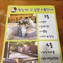 야옹이보드카페