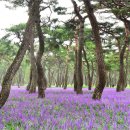 황성공원 이미지