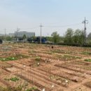 윤종석농장 이미지