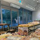 주정차단속-044 | 세종시 빵집 추천 팡쇼과자점 케이크 맛집 빵지순례 후기