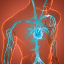 중3-371 L 이미지