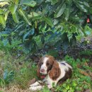 대단해농장 이미지