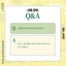 바오스토어
