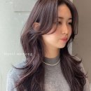 메르시모몽 이미지