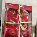 분당프리미어의원 이미지