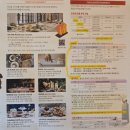 CJ원프라자 | 영종도 호텔 인천 파라다이스시티 서울근교 호텔 추천