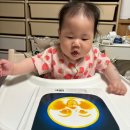 멍멍아 놀자 | 책육아 책장 정리 | 내돈내산 유아 전집 방출 후기 (잘 본 책 vs 아쉬운 책)