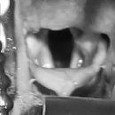 동주동물병원 이미지