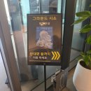 나를 닮은 여름에게 | 서울 전시회 추천｜성률 기획전 ‘여름을 닮은 우리’ 평일관람후기 🌿☀️