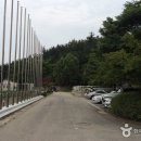 대전승마장 이미지