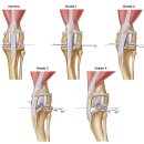 나루동물병원 이미지