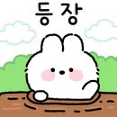 두건쓴형제 화명점 네이버블로그