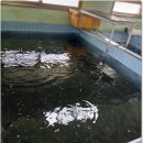 부산난방유배달 행운석유에너지