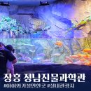강변길따라 | [장흥 실내 가볼만한곳] 정남진 물과학관 아이와 방문후기 (입장료/할인 팁)