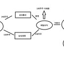 지금 삼성 현황 이렇게 된게 맞나요? 이미지