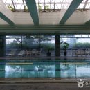 유성호텔실내수영장 이미지