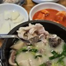 두꺼비 토종 순대국 | 신장시장 맛집 두꺼비토종순대국 진한 육수 무한리필