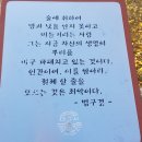 하늘에서 땅끝까지 | 대흥사 — 땅끝에서 피어난 호국의 꽃, 서산대사의 마지막 땅