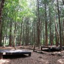 서귀포자연휴양림 이미지