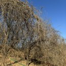 재순농장 이미지