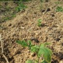 이종섭 농장 이미지