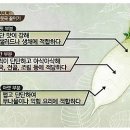 무 이미지