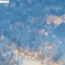 욕망의 열매 이미지