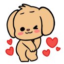 솜사탕 애견미용실 이미지