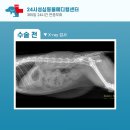 신탄진동물병원 이미지
