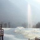 임경자