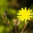 계룡초등학교 병설유치원 이미지