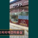 초코퍼피 애견미용실 이미지