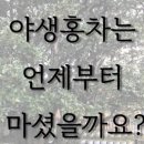 워니티
