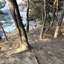 한봉축사 Daum카페