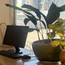 현대자동차블루핸즈(평산점) 이미지