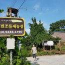 호빈조류새농장 이미지