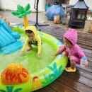 남애리458스테이 이미지