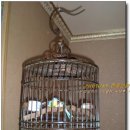 서태후중화요리전문점 이미지